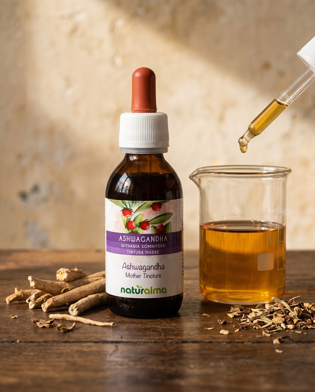 Estratto di radice di ashwagandha, Withania somnifera, adattogeno usato da chi si allena