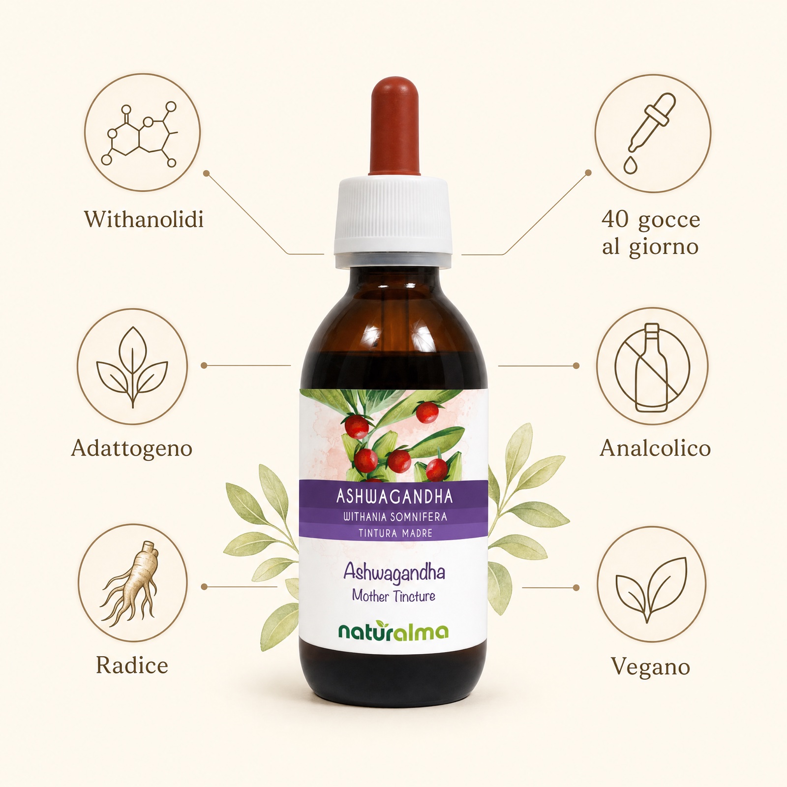 Ashwagandha Naturalma — infografica: il flacone al centro con withanolidi, fitocomplesso della radice, stress ed equilibrio, sonno ed energia, 40 gocce, analcolico e vegano