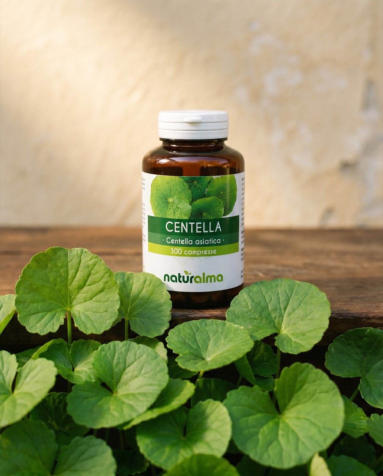 Naturalma Centella (Gotu Kola) 300 tablets — macro of the label and the Centella asiatica tablets
