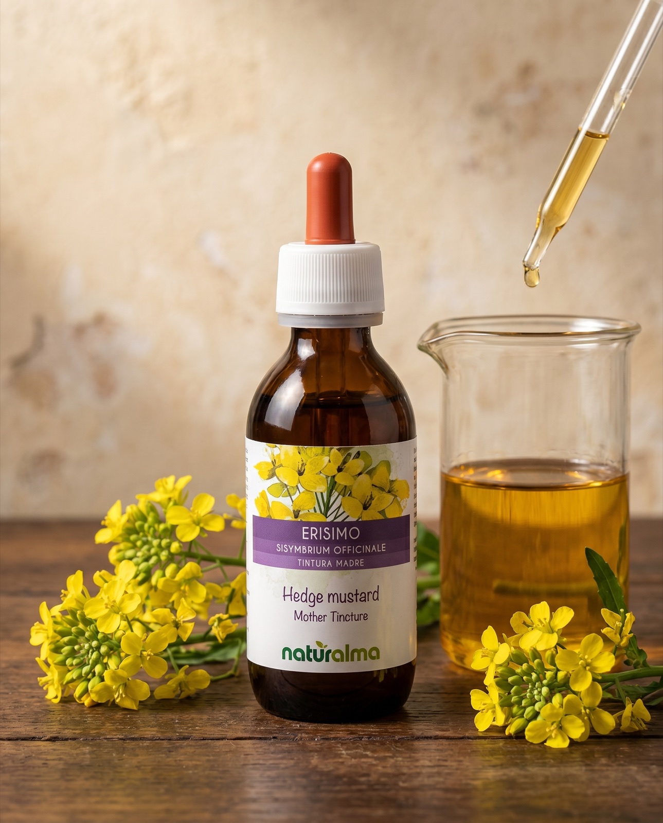 Erisimo — estrazione idroalcolica con flacone Naturalma, beaker e sommità fiorite fresche