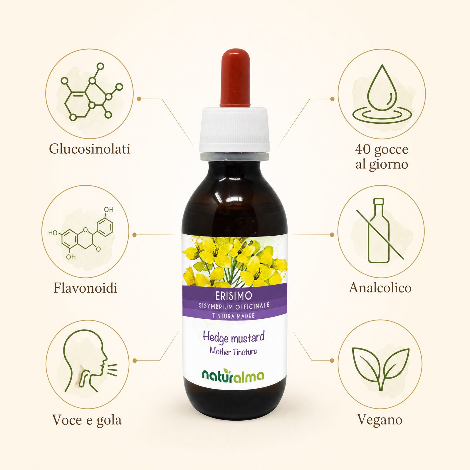 Erisimo Naturalma — infografica: il flacone al centro con glucosinolati, flavonoidi, voce e gola, 40 gocce, analcolico e vegano